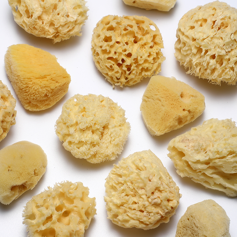 Rubens Greece Natural Silk Honeycomb Sponge