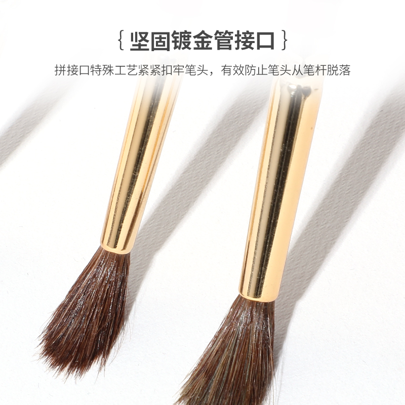 鲁本斯L611 (2)